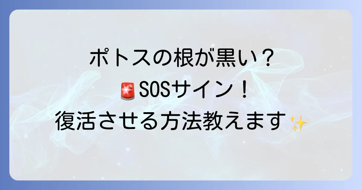 ポトス水栽培の根が黒い原因と復活方法を徹底解説！健康な根を育てるコツ