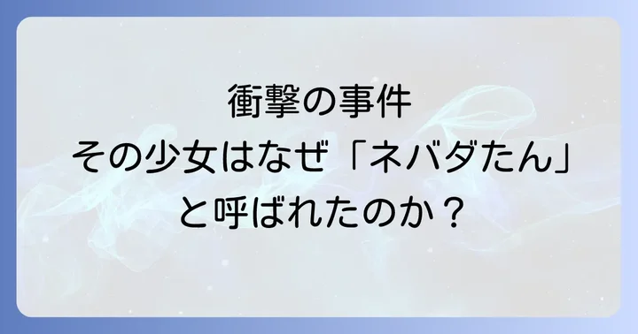 ネバダたんとは？佐世保事件の概要と経緯