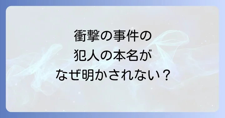 ネバダたん事件が社会に与えた影響と教訓