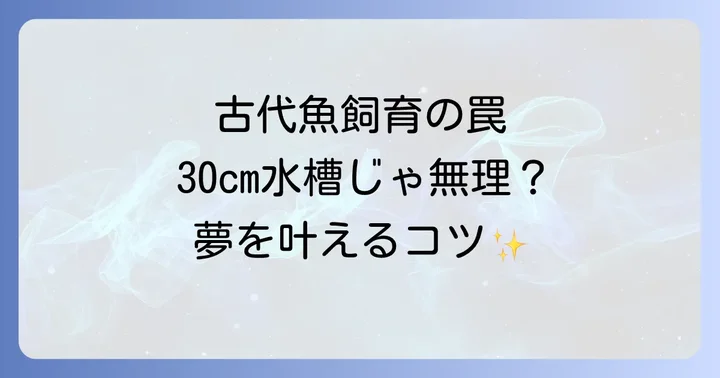 古代魚やアクアリウム用品の販売店情報