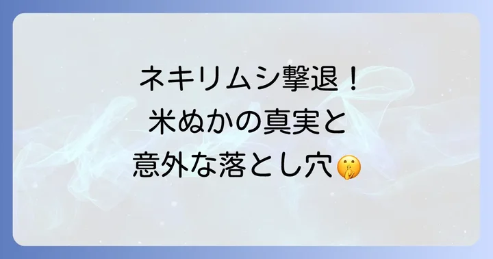 米ぬかを使う際の注意点とリスク回避