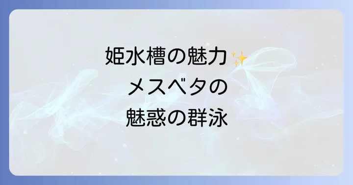 ベタメス多頭飼いは可能？姫水槽の魅力とオスとの違い
