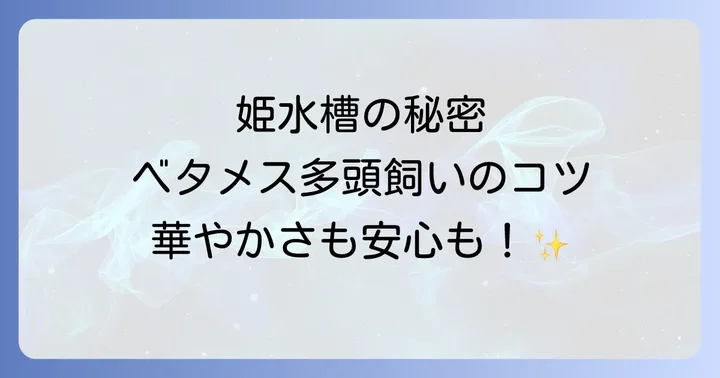 ベタメス多頭飼いを成功させる準備とコツ