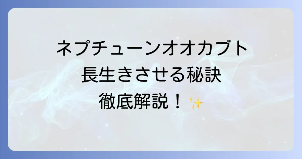 ネプチューンオオカブトの寿命を徹底解説！長生きさせるための飼育方法とコツ