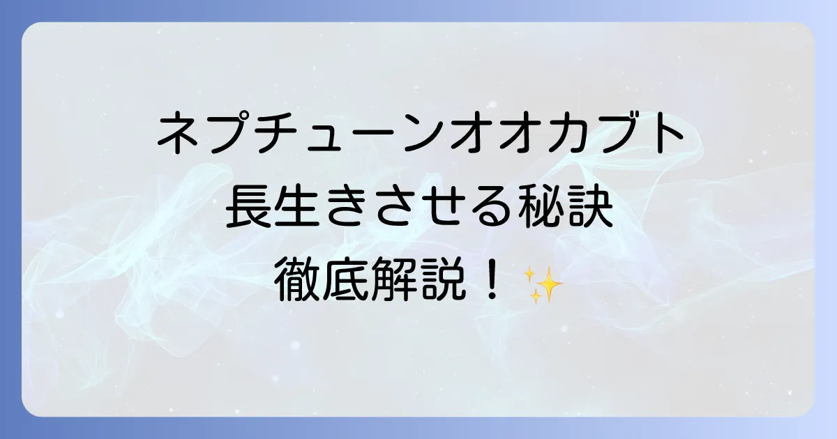 ネプチューンオオカブトの寿命を徹底解説！長生きさせるための飼育方法とコツ