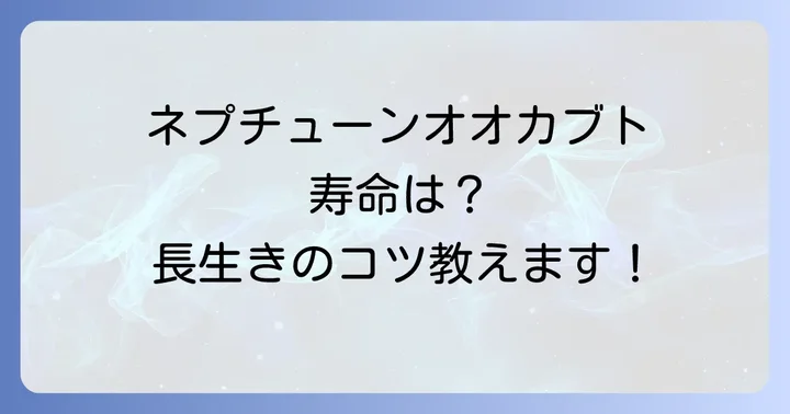 ネプチューンオオカブトの成虫の寿命はどのくらい？