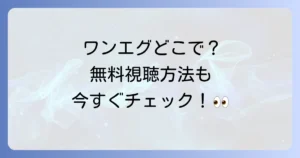 ワンダーエッグプライオリティのネトフリ配信状況はどこで見れる？無料視聴方法も徹底解説！