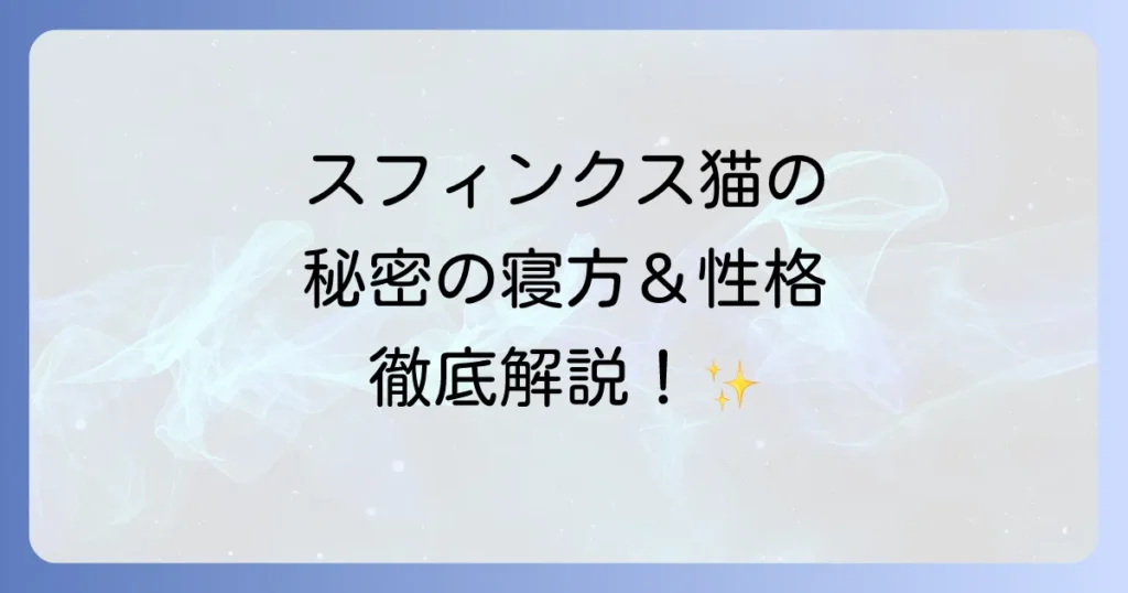 スフィンクス猫の寝方と性格を徹底解説！無毛猫のユニークな魅力と飼い方のコツ