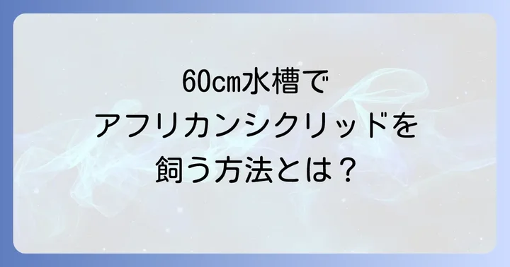 60cm水槽でアフリカンシクリッドは飼育できる？その可能性と現実