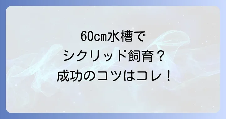 アフリカンシクリッド60cm水槽の理想的な環境作り