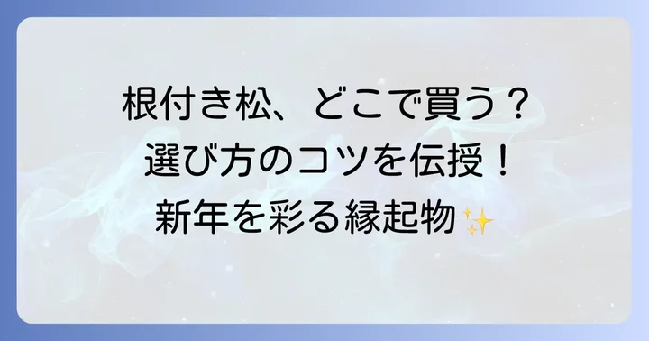 根引き松の購入場所と選び方のポイント