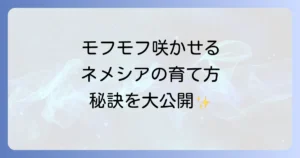 ネメシアモフモフの育て方徹底解説！ふんわり咲かせるコツと管理方法