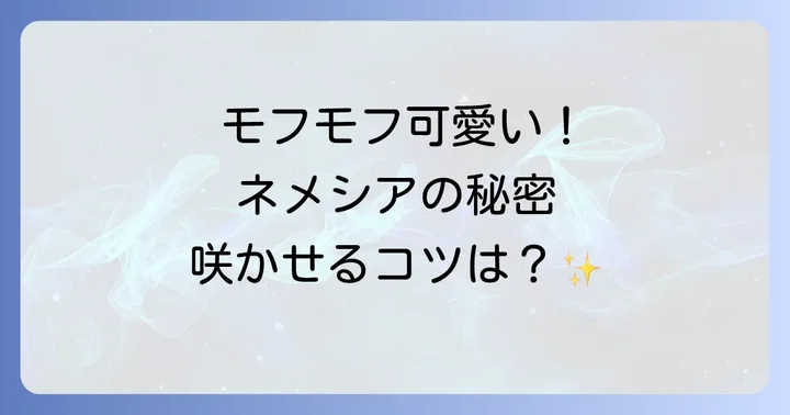 ネメシア「モフモフ」とは？その魅力と基本情報