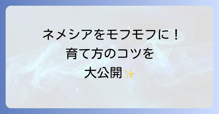 季節ごとのネメシアモフモフ管理術
