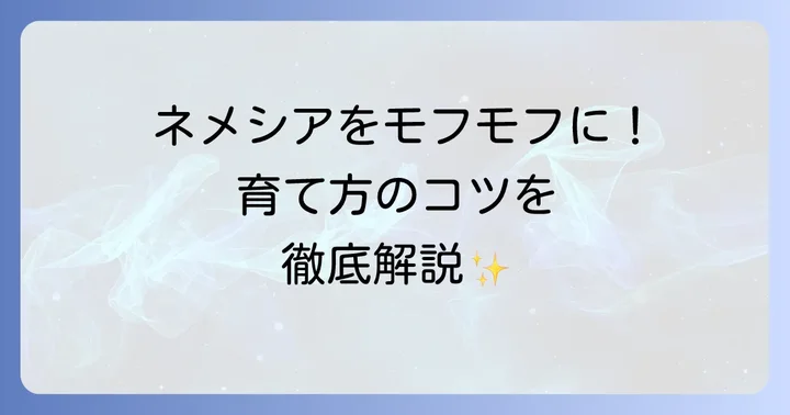ネメシアモフモフ育て方でよくある質問