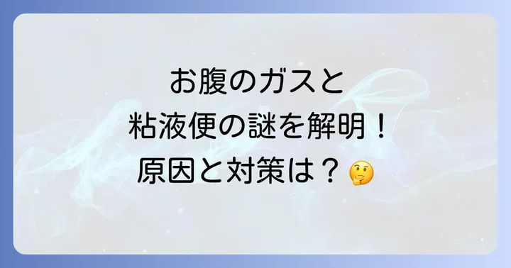 ガスがたまる粘液便の主な原因を徹底解明