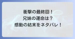 双子兄弟のニューライフのネタバレを徹底解説！兄妹の運命と最終回を深掘り