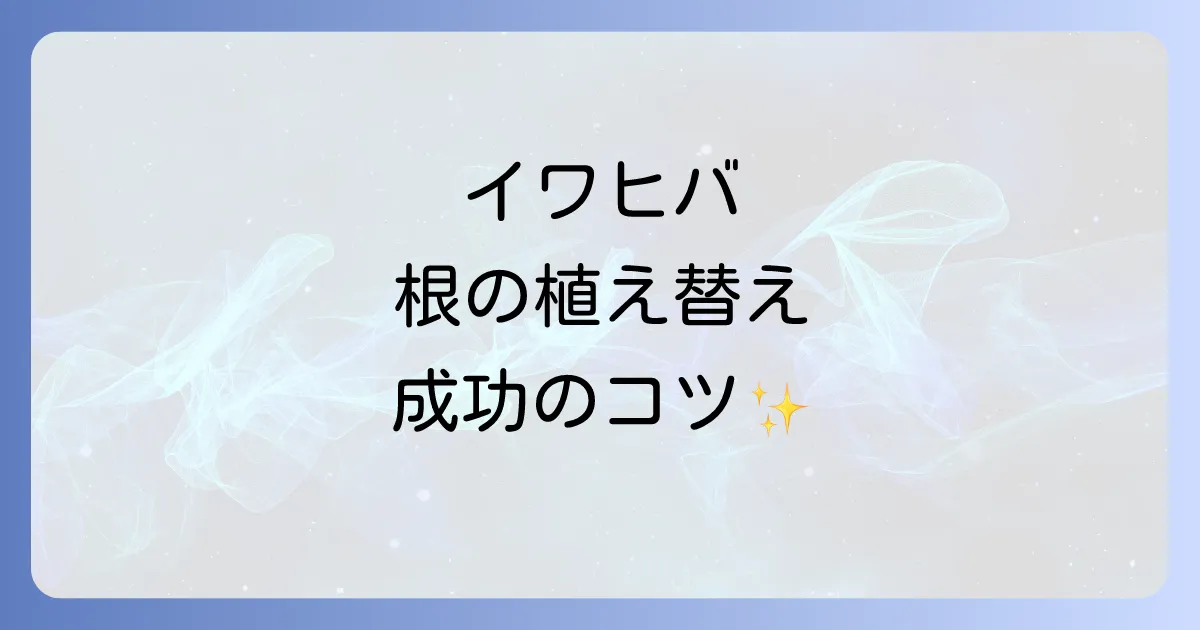イワヒバの植え替え時期と根の正しい処理方法を徹底解説！失敗しないコツと植え替え後の管理