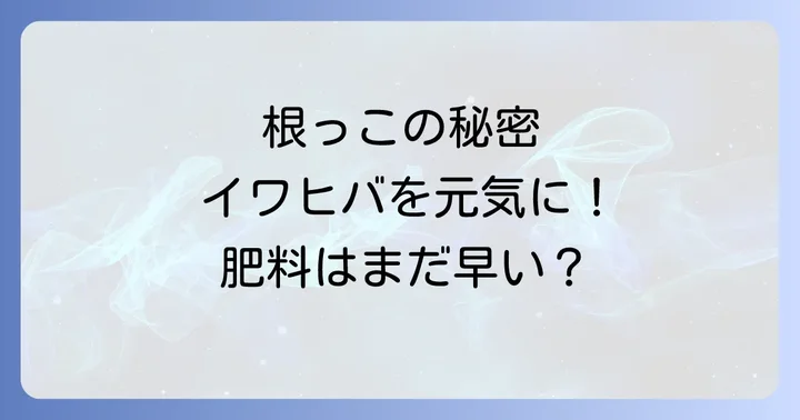 イワヒバ植え替え根の重要性とは？健康な成長のために