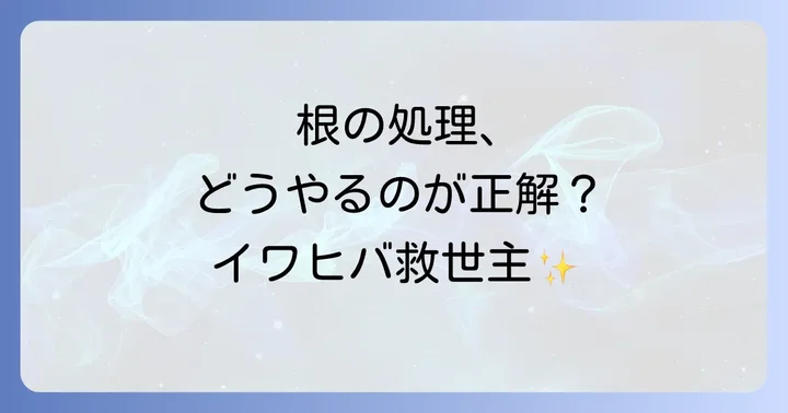 イワヒバ植え替え根の正しい処理方法