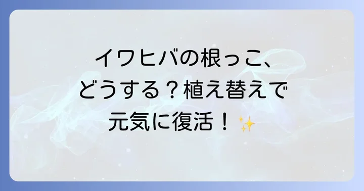 イワヒバを新しい鉢に植え付ける手順
