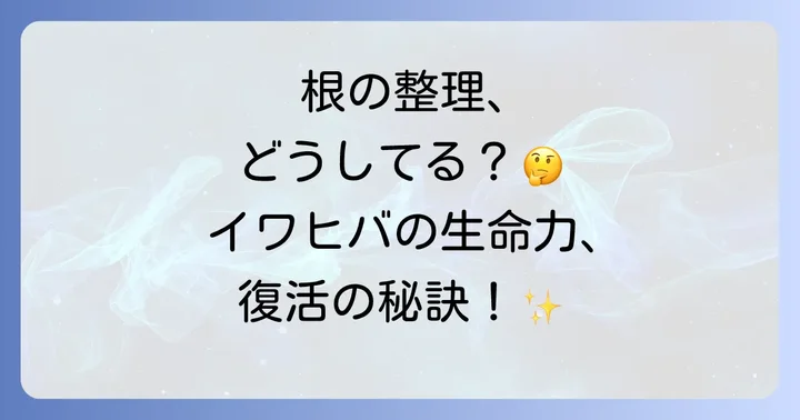 イワヒバ植え替え後の管理と注意点