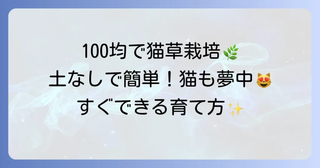 猫草水耕栽培を100均グッズで始める！失敗しない育て方と猫が喜ぶコツを徹底解説