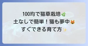 猫草水耕栽培を100均グッズで始める！失敗しない育て方と猫が喜ぶコツを徹底解説