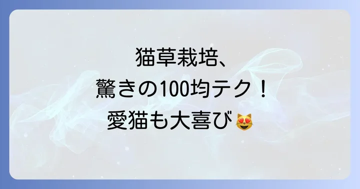 猫草水耕栽培の簡単な進め方ステップバイステップ