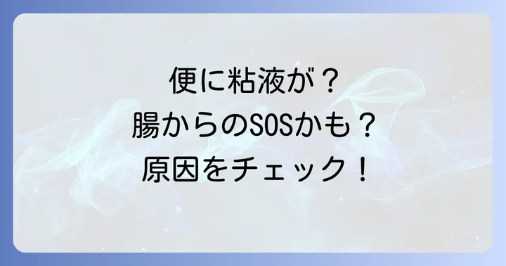 便に白い粘液が混じる主な原因と病気の可能性