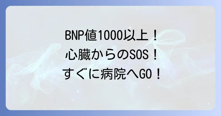 BNP値が高い場合の検査と診断の進め方
