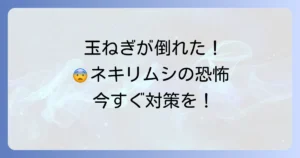 玉ねぎのネキリムシ対策を徹底解説！家庭菜園での予防と駆除方法