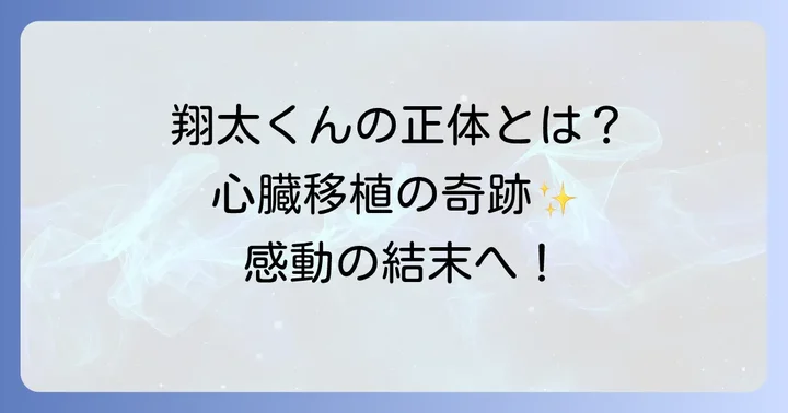 翔太くんの正体と物語での重要な役割