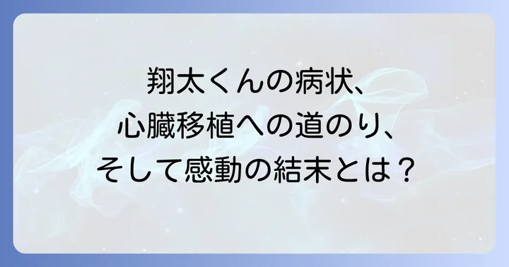 【ネタバレ】翔太くんの病状と治療の進捗