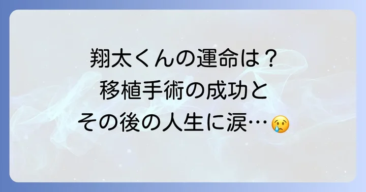 【ネタバレ】翔太くんの最終的な結末とその後の人生