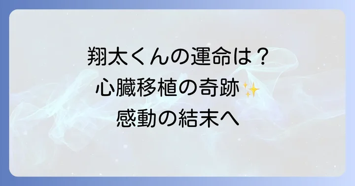 『19番目のカルテ』翔太くんに関するよくある質問