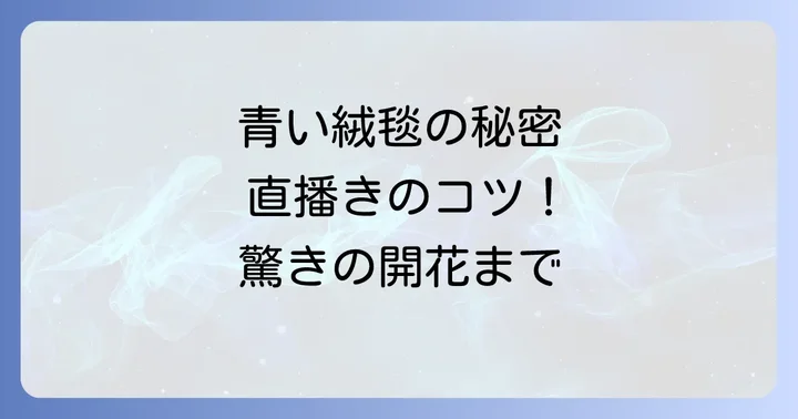 ネモフィラを直播きで育てる魅力とは？