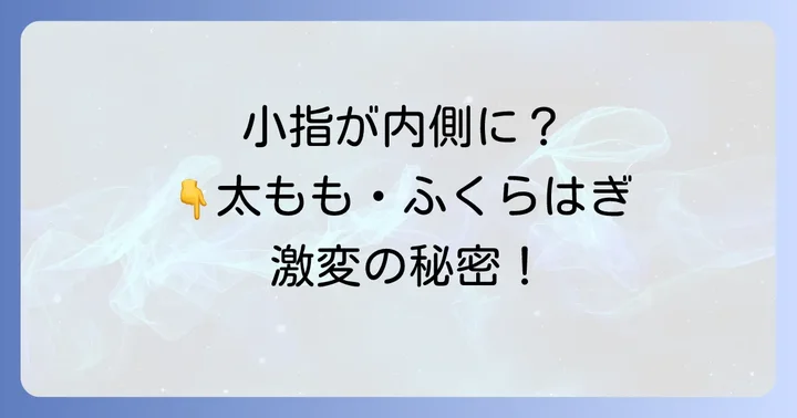 寝指が足の太さや下半身太りにつながるメカニズム
