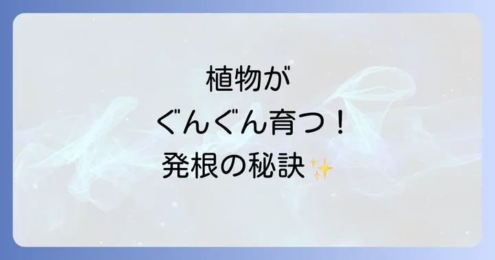 発根を確実に成功させるためのコツと注意点