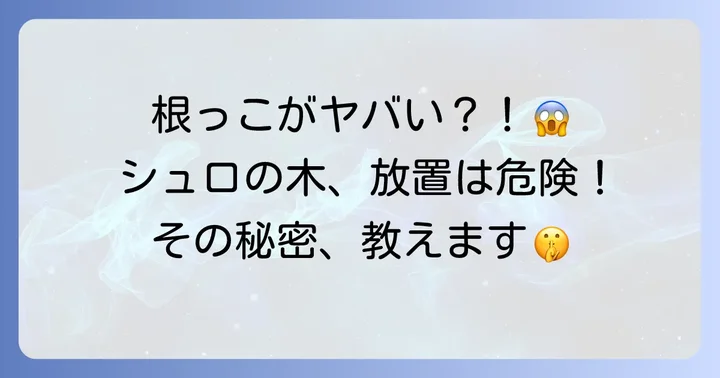 シュロの木根っこの特徴と倒木リスク