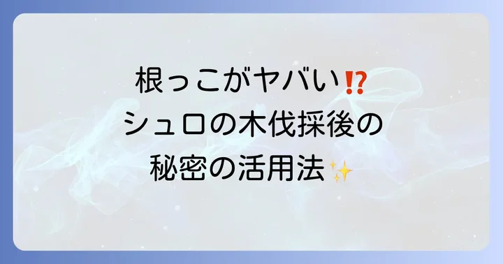 伐採後の根の処理方法とシュロの木の再利用