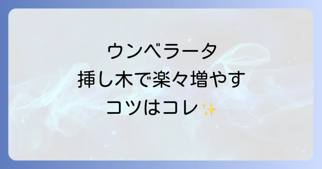 ウンベラータの挿し木を水差しで増やす方法を徹底解説！失敗しないコツと発根の秘訣