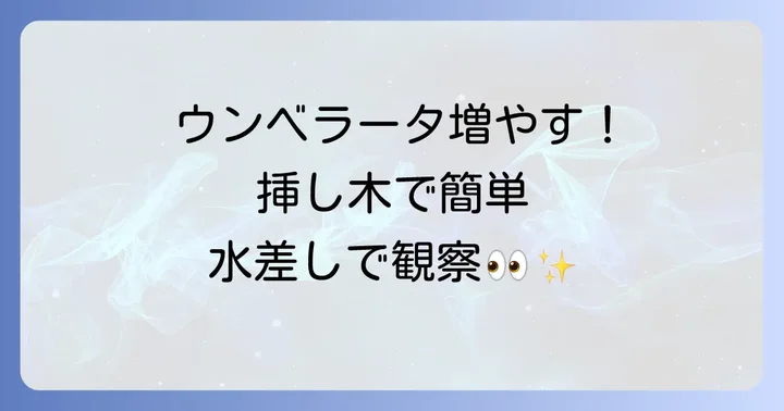 ウンベラータ挿し木水差しに必要な道具と材料