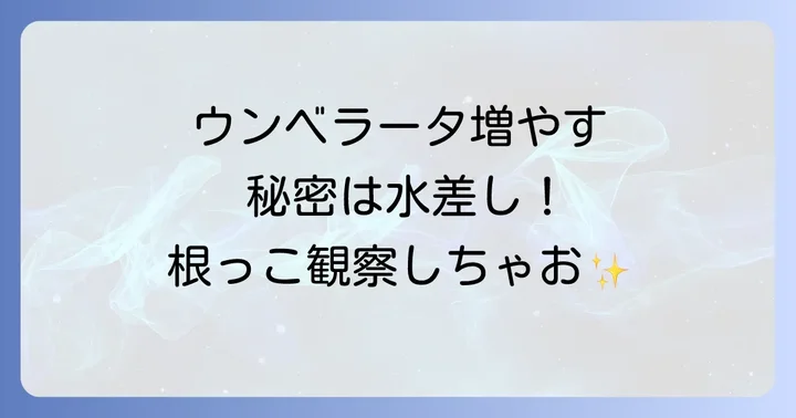 ウンベラータ挿し木水差しの手順を徹底解説
