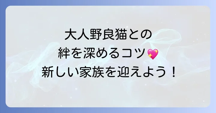 大人の野良猫を飼う魅力と知っておくべき現実