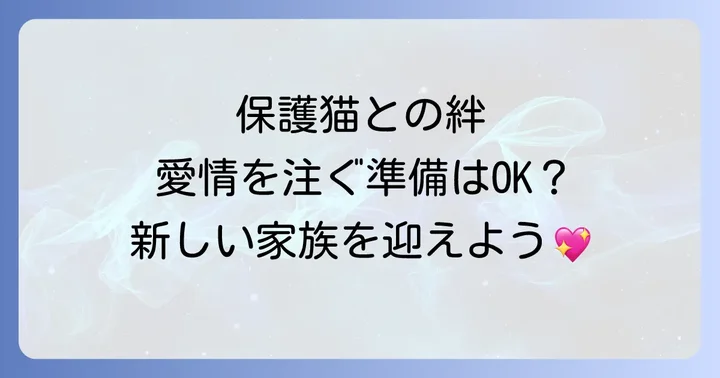 大人の野良猫を安全に保護する方法と準備