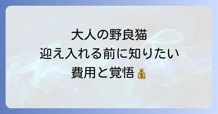 大人の野良猫を飼う際の費用と長期的な視点