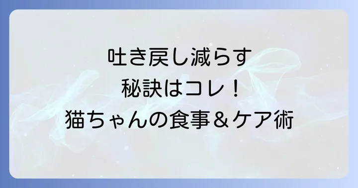 吐き戻しを減らすための具体的な対策と飼い方のコツ