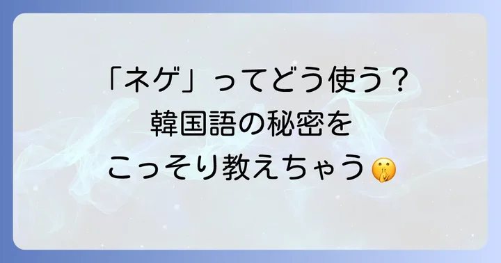 韓国語「ネゲ」の基本的な意味と読み方