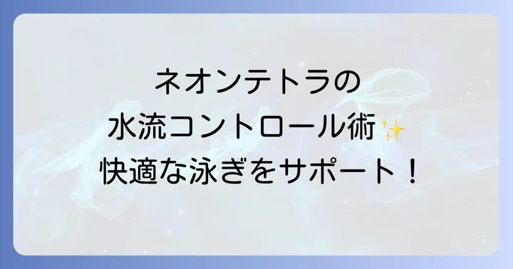 水草水槽におけるネオンテトラ水流の考え方